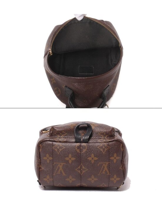Louis Vuitton Palm Springs Backpack Mini Monogram